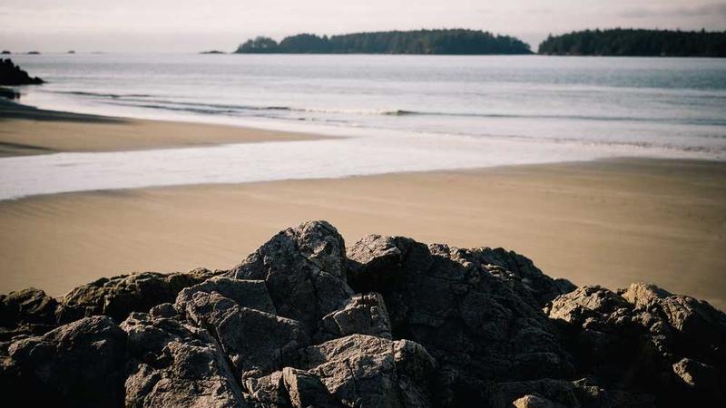 1.1 【2026年】为什么要学习Qt？