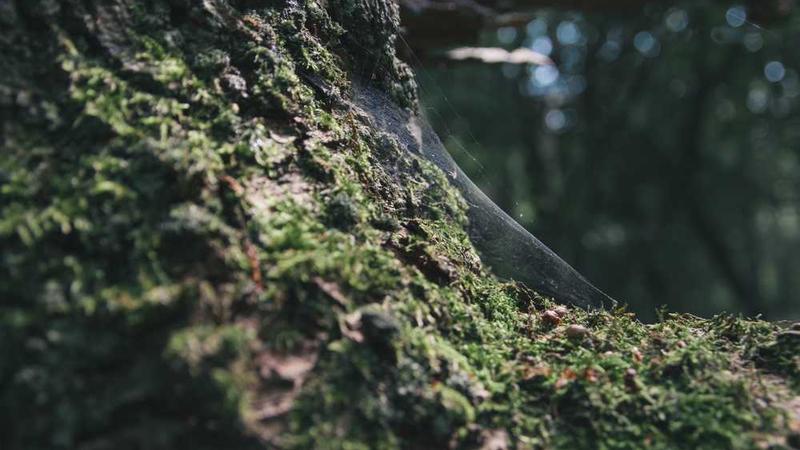 cover of previous post